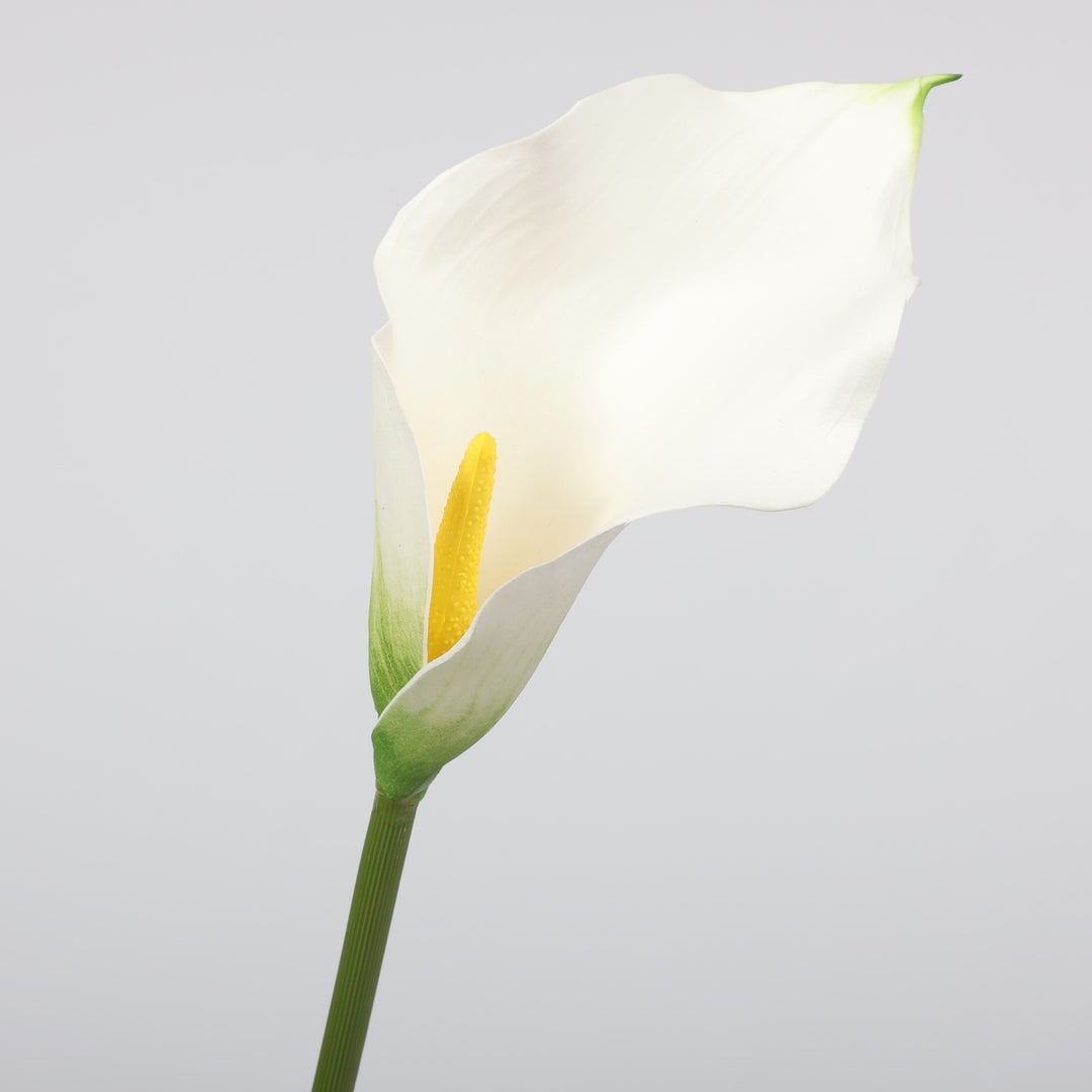 Artificial Calla Lily - White, close up of flower head