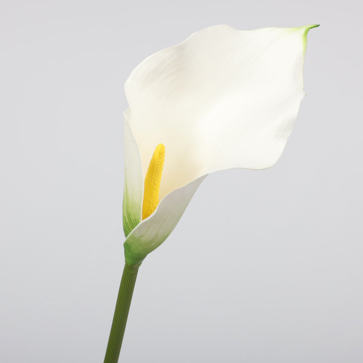 Artificial Calla Lily - White, close up of flower head