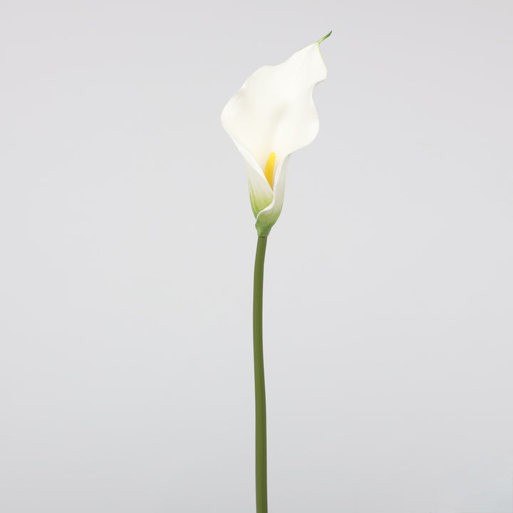 Artificial Calla Lily - White, single stem