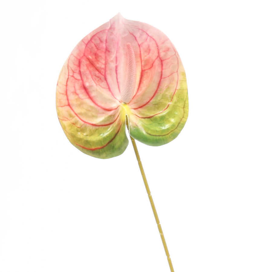 Artificial Anthurium Stem - Green/Pink