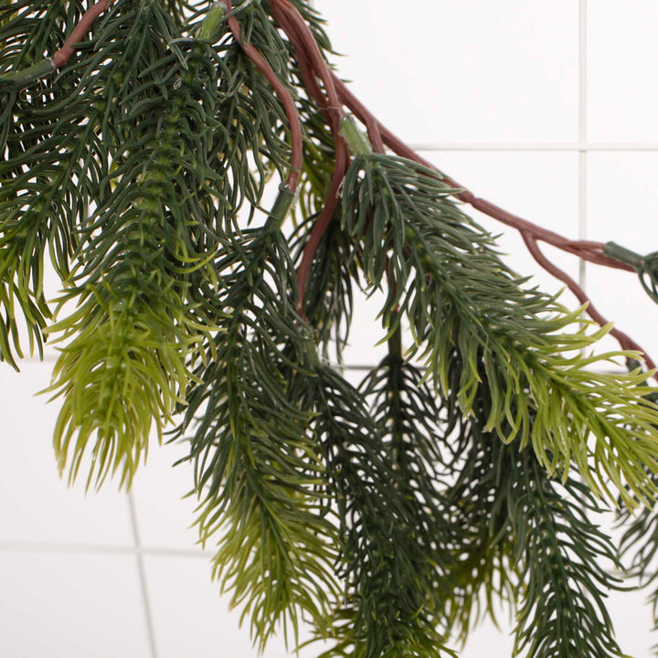185cm Norfolk Pine Garland close up 2