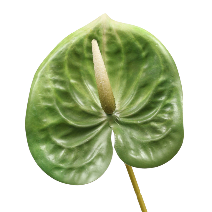 Artificial Anthurium Stem - Green close up detail