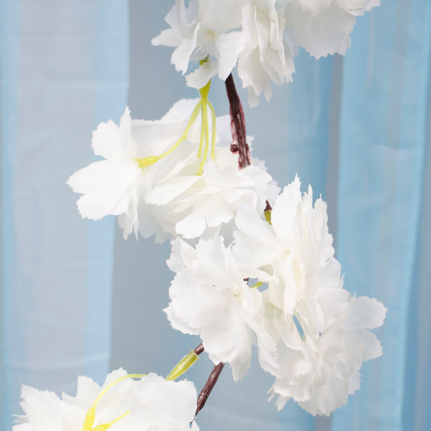 Close up of white cherry blossom flower, stem and vine