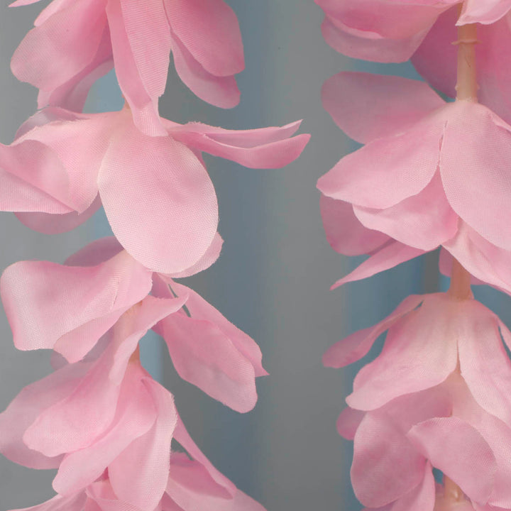 Close up of flower from large orchid hanging vine in pink