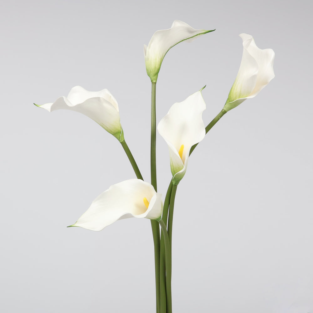 Artificial Calla Lily - White, 5 stems together