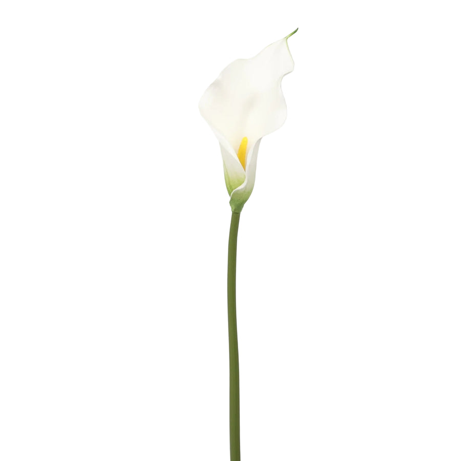 Artificial Calla Lily - White, single stem
