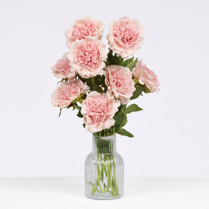 A bouquet of blush peony flowers with green stems arranged in a clear ribbed glass vase against a plain white background.