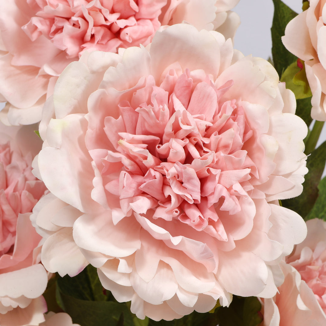A close-up of a large blush peony flower with layered ruffled petals, surrounded by other pink blooms and green foliage.
