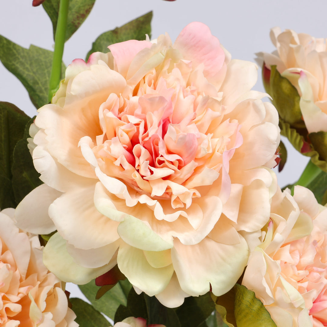 A close-up of a large peach peony flower with layered ruffled petals, green leaves, and other partially visible flowers in the background.
