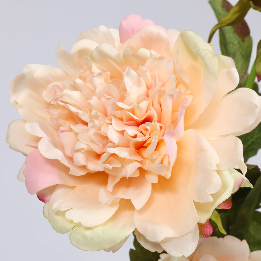 Artificial Real Touch Peony Rose - Large Stem - Peach