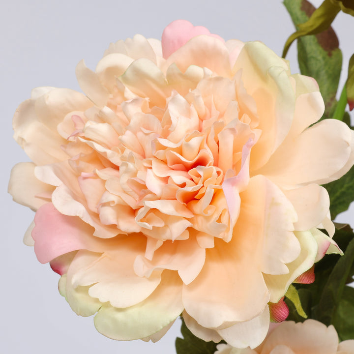 Artificial Real Touch Peony Rose - Large Stem - Peach
