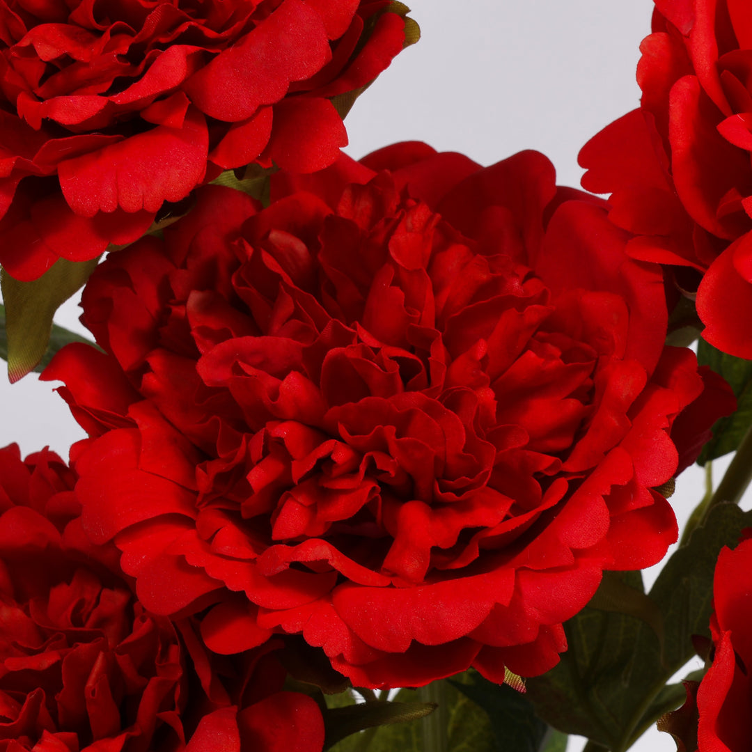 A close-up of a large, vibrant red peony flower with layered ruffled petals, surrounded by other red flowers and green leaves against a light gray background.