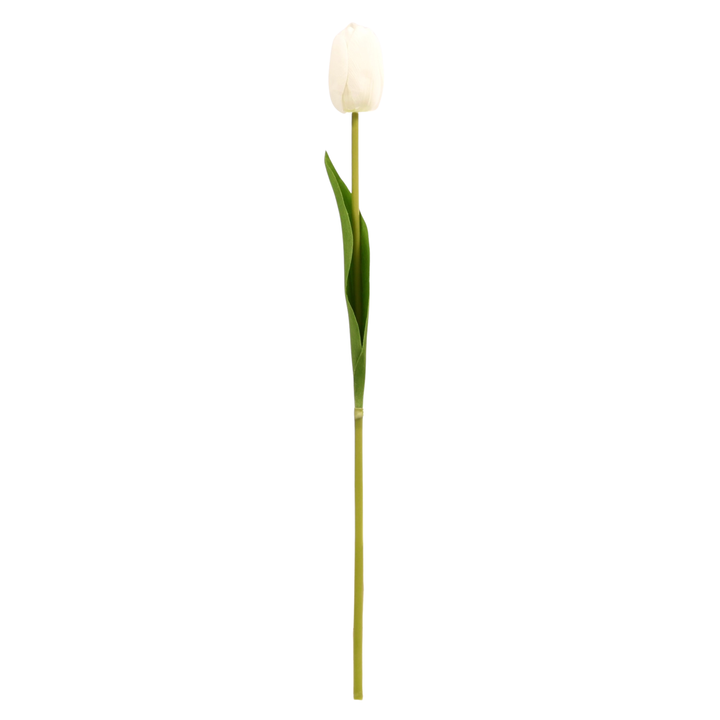 Artificial Tulip Stem- White