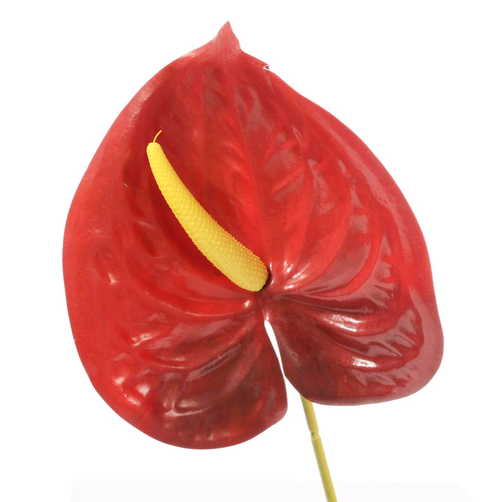 Artificial Anthurium Stem - Burgundy close up 1