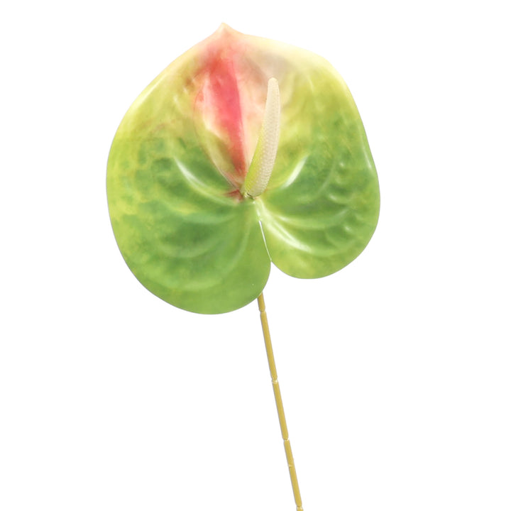 Artificial Anthurium Stem - Green