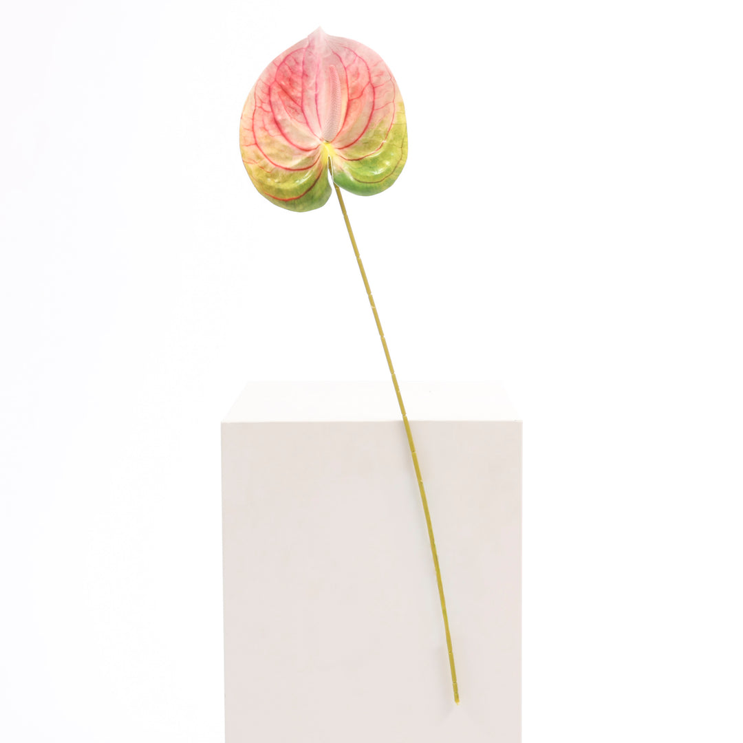 Artificial Anthurium Stem - Green/Pink full product