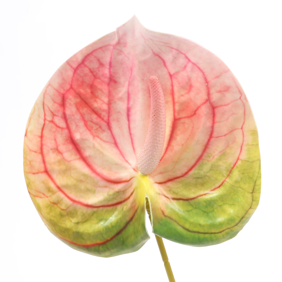 Artificial Anthurium Stem - Green/Pink close up