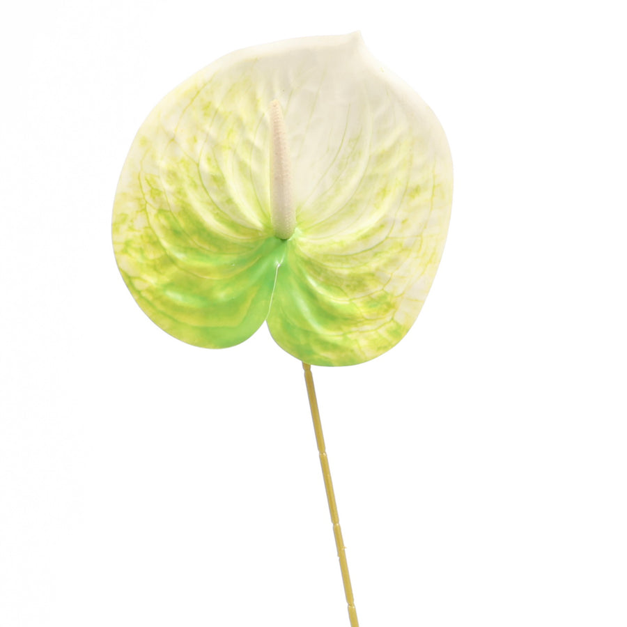 Artificial Anthurium Stem - Green/White