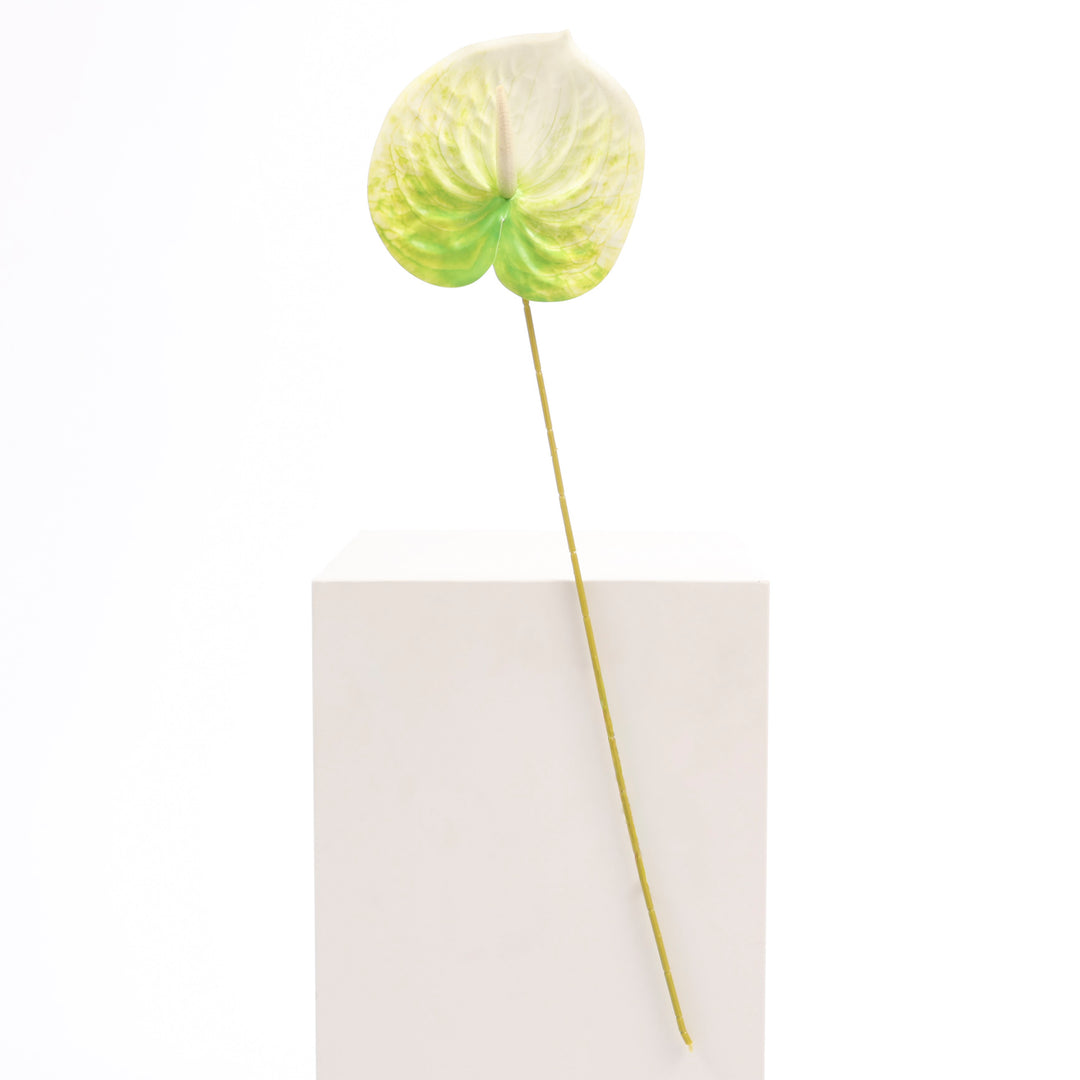 Artificial Anthurium Stem - Green/White full product
