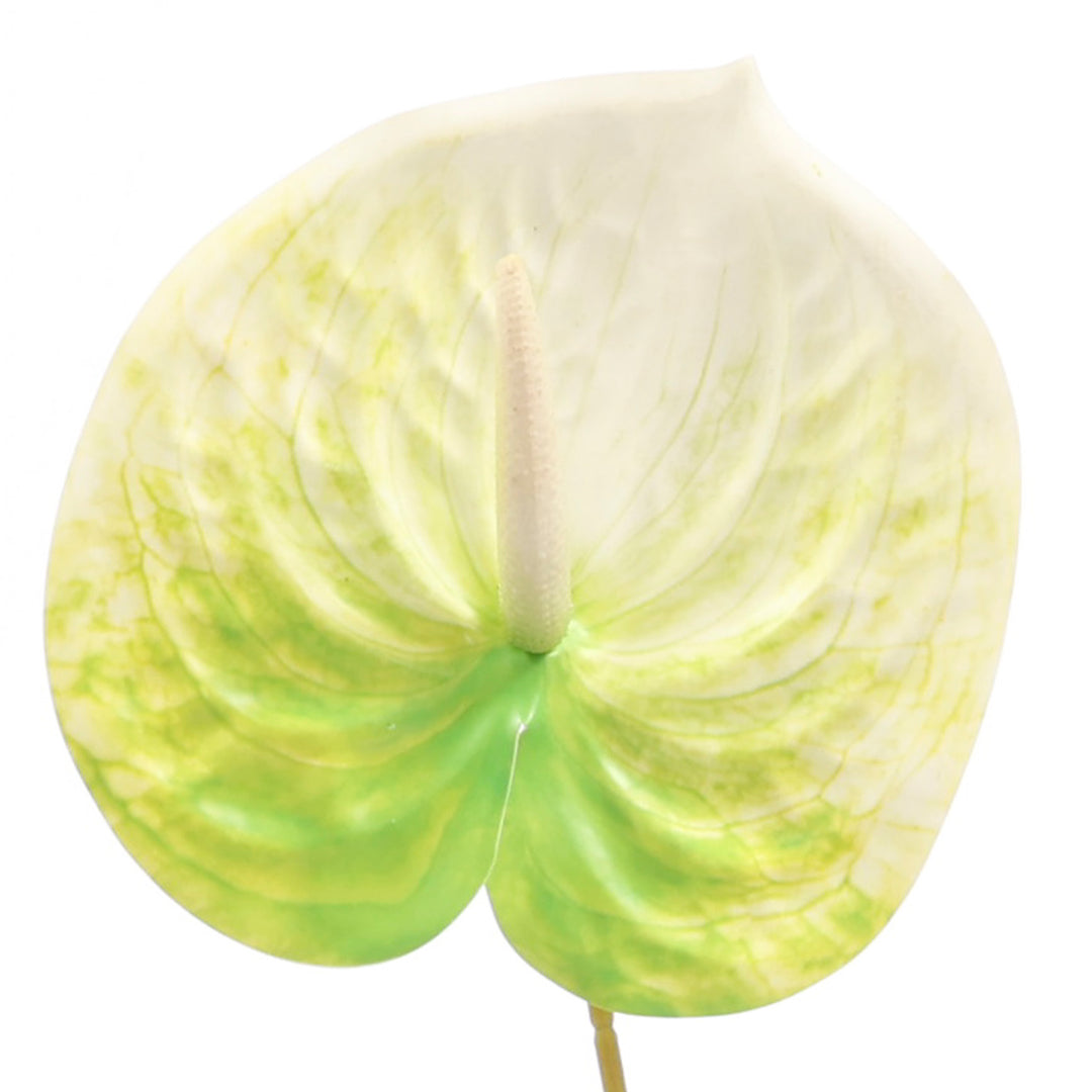 Artificial Anthurium Stem - Green/White close up