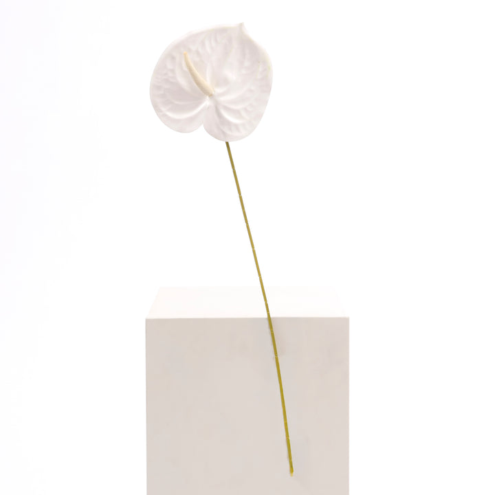 Artificial Anthurium Stem - White full product