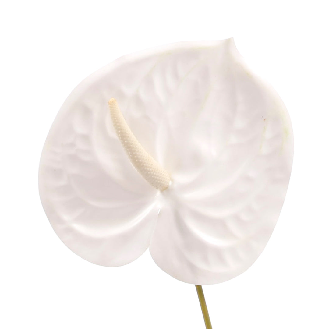Artificial Anthurium Stem - White close up