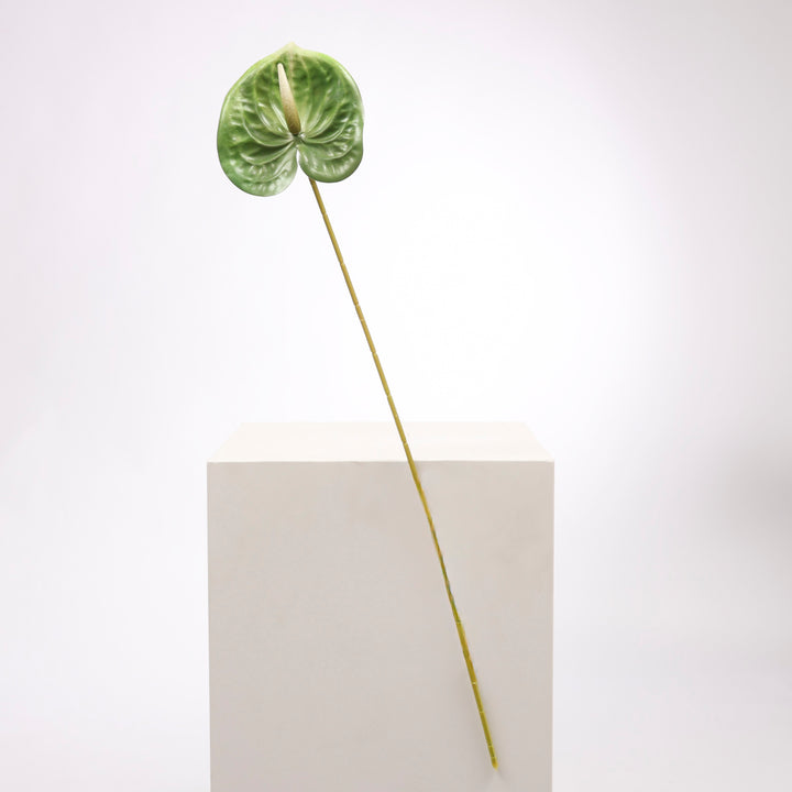 Artificial Anthurium Stem - Green long stem