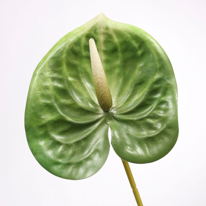 Artificial Anthurium Stem - Green close up detail