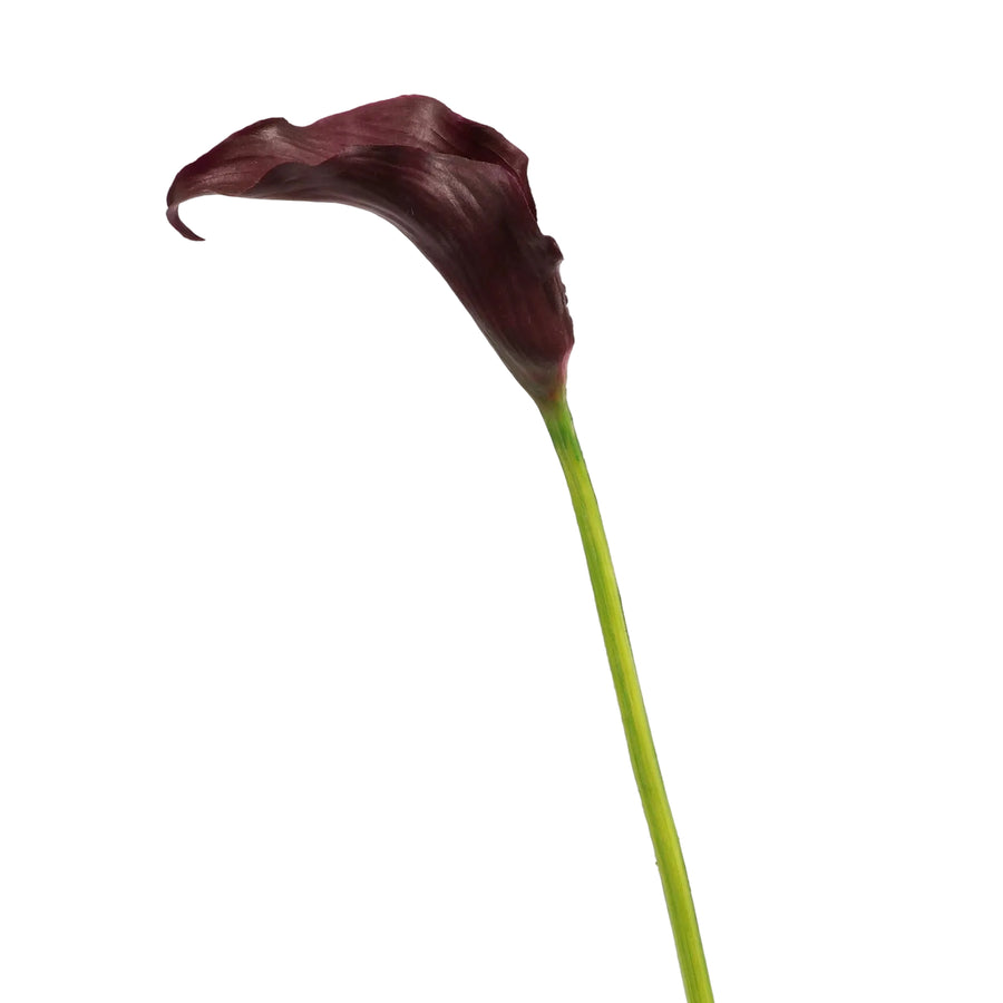 Artificial Calla Lily - Dark Purple flower and stem close up
