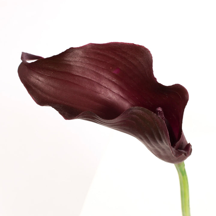Artificial Calla Lily - Dark Purple flower head close up