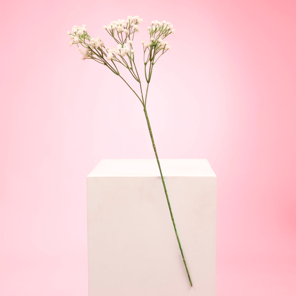 Baby's Breath Bouquet Premium Stems - White (60cm) full stem