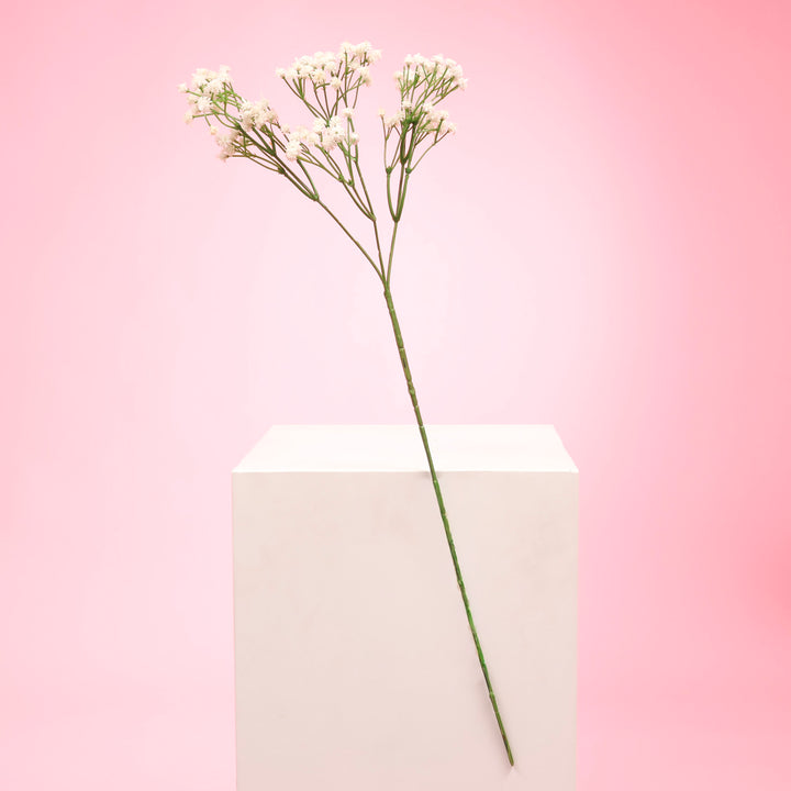 Baby's Breath Bouquet Premium Stems - White (60cm) full stem