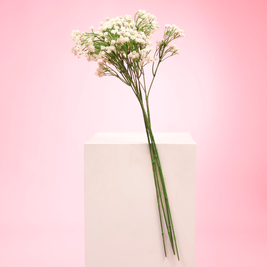 Baby's Breath Bouquet Premium Stems - White (60cm) in a bunch A