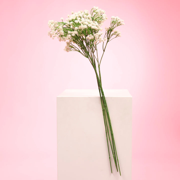 Baby's Breath Bouquet Premium Stems - White (60cm) in a bunch A