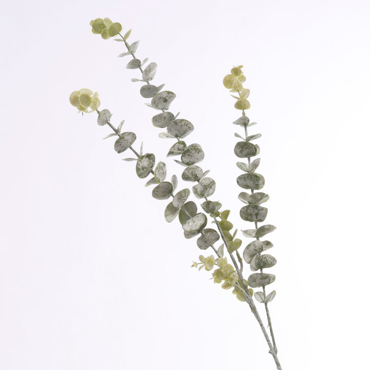 Frosted Silver Dollar Eucalyptus Stem