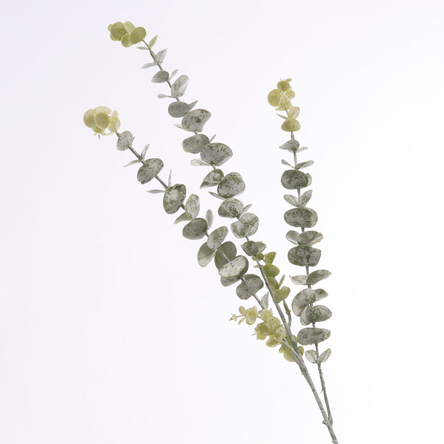 Frosted Silver Dollar Eucalyptus Stem
