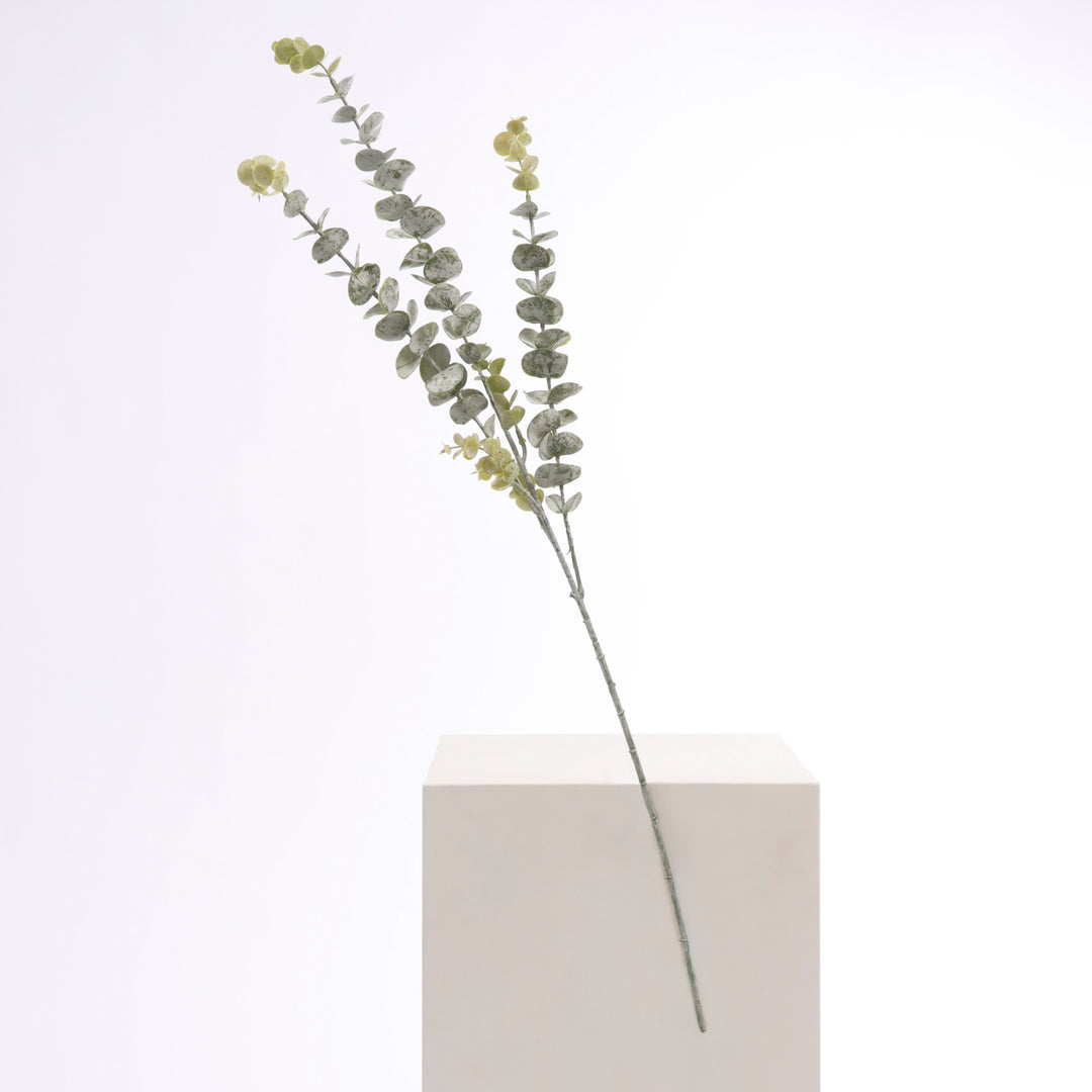 Frosted Silver Dollar Eucalyptus Stem full product