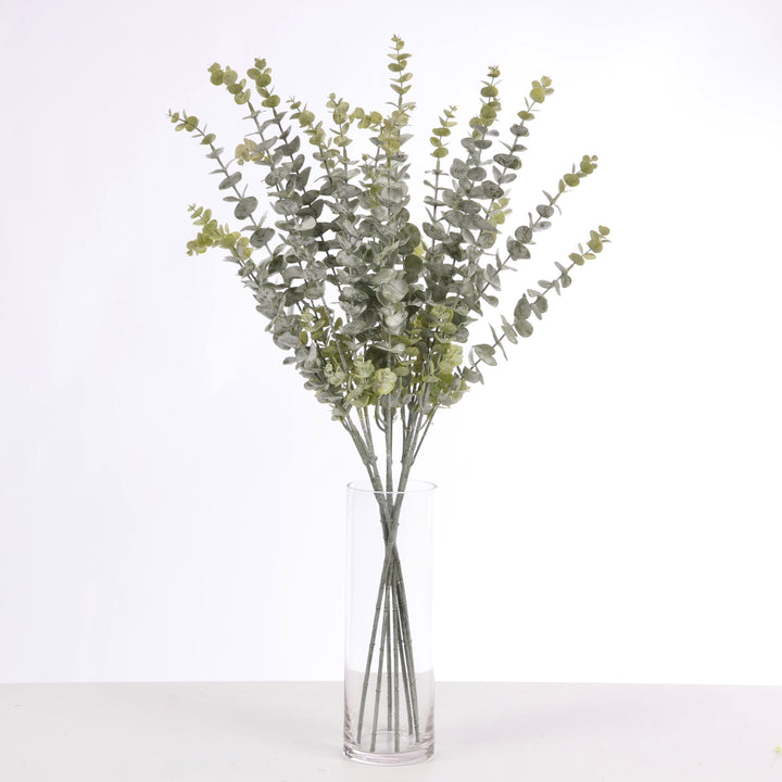 Frosted Silver Dollar Eucalyptus Stem x 6 stems together in 30cm glass vase