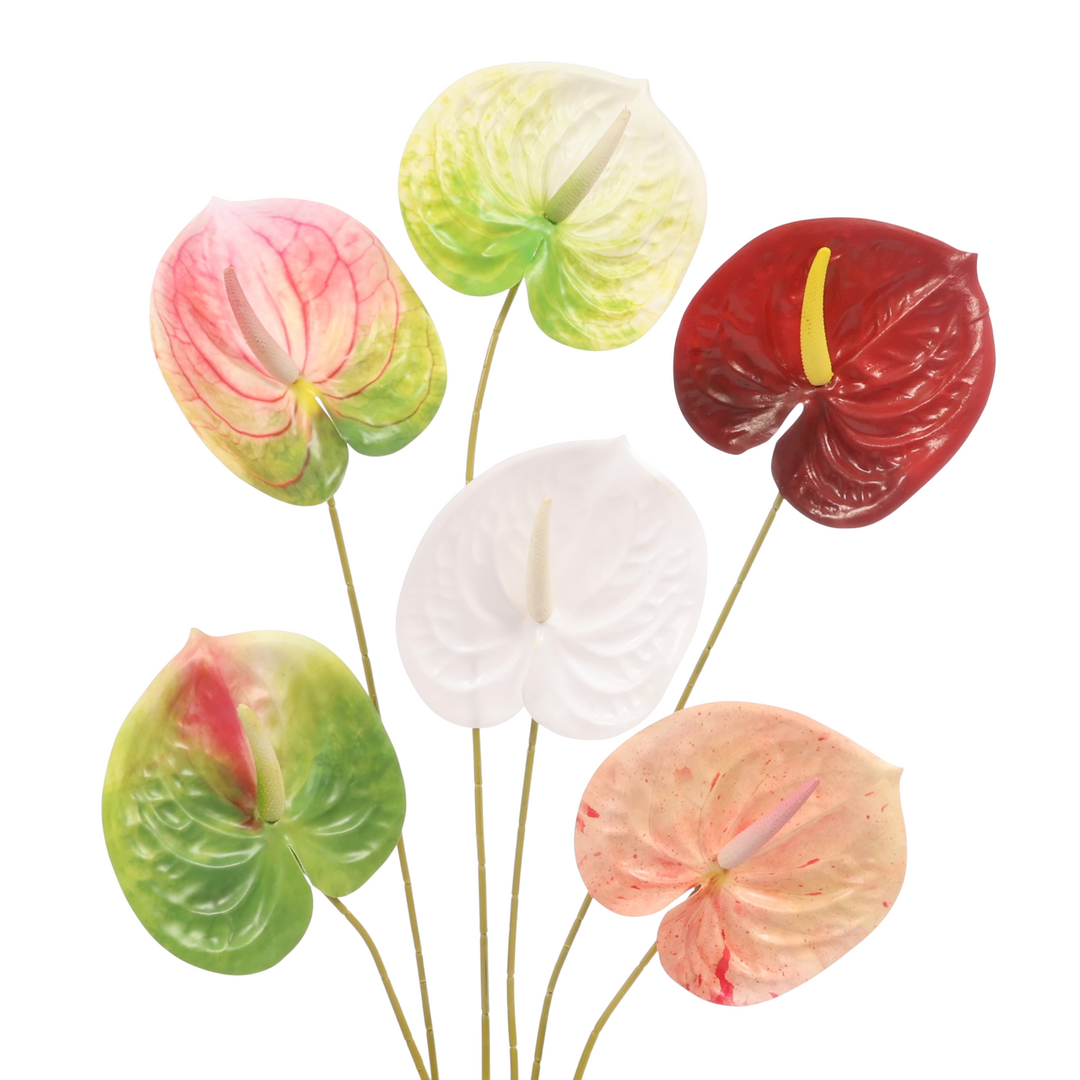 Mixed colours of Anthurium stems. From left to right: Green, Green/Pink, Green/White, White, Burgundy and Peach
