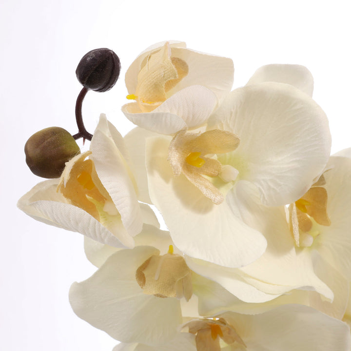 Artificial Orchid Stem - White close up 2