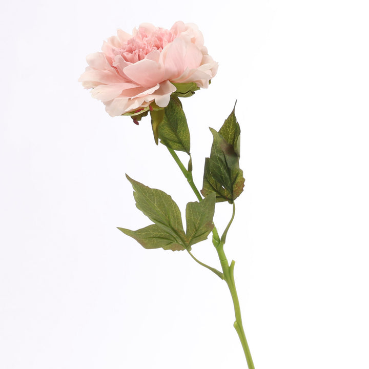 Artificial Peony Rose - Large Stem - Blush half product