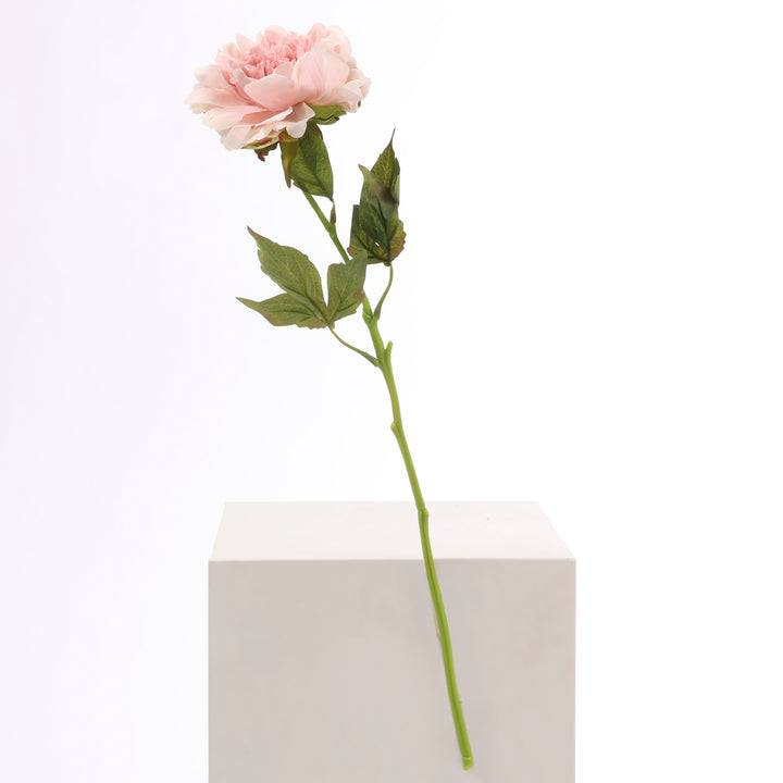 Artificial Peony Rose - Large Stem - Blush full product