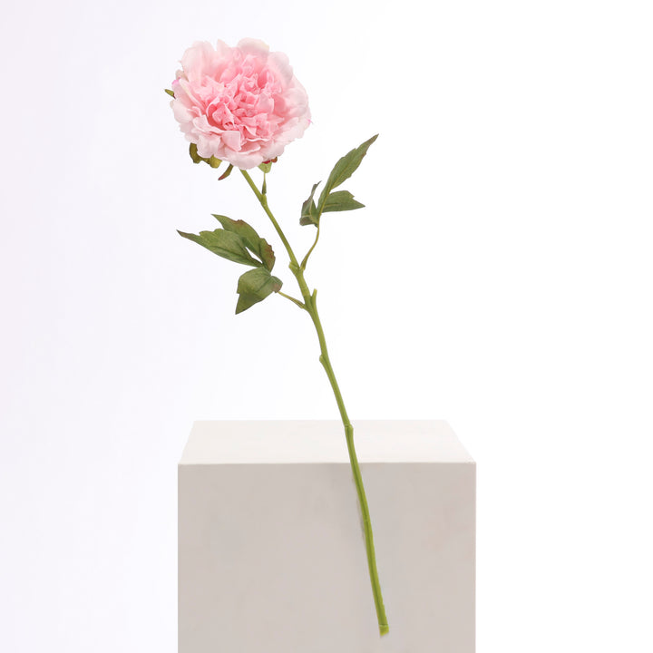 Artificial Peony Rose - Large Stem - Light Pink full product