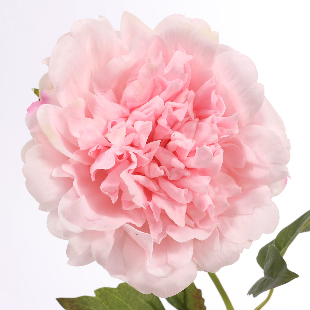Artificial Peony Rose - Large Stem - Light Pink close up