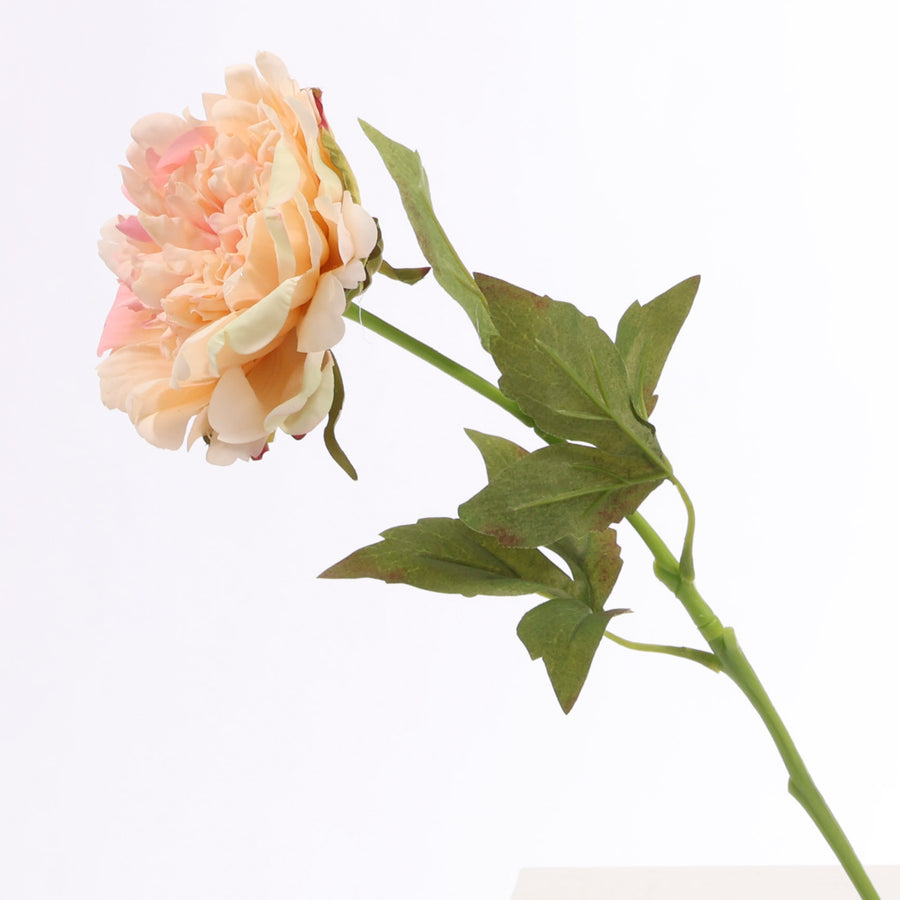 Artificial Peony Rose - Large Stem - Peach