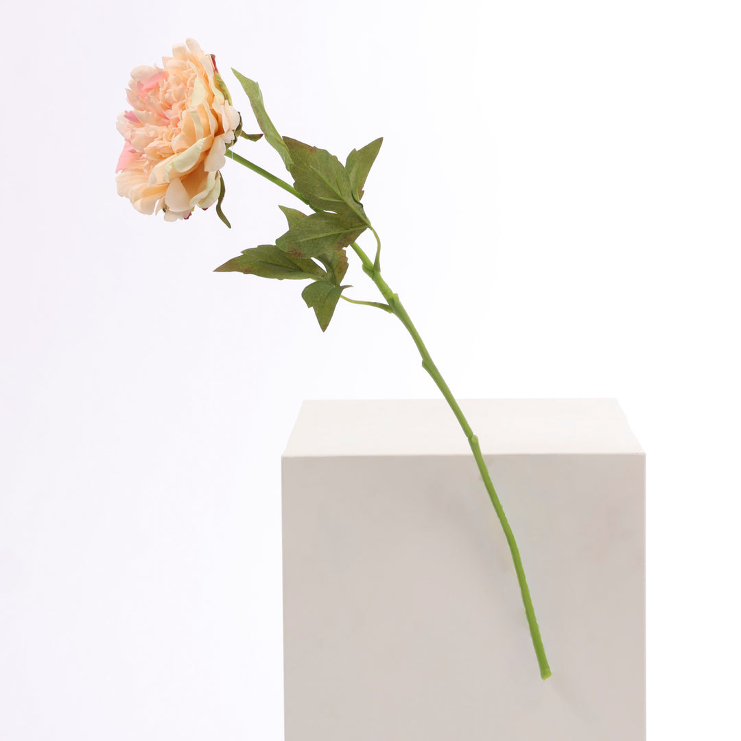 Artificial Peony Rose - Large Stem - Peach full product