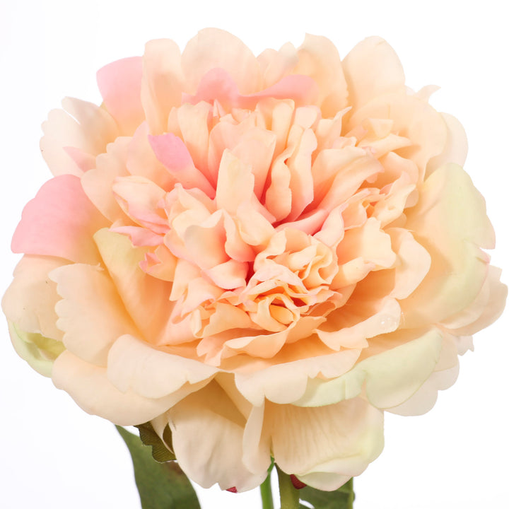 Artificial Peony Rose - Large Stem - Peach close up