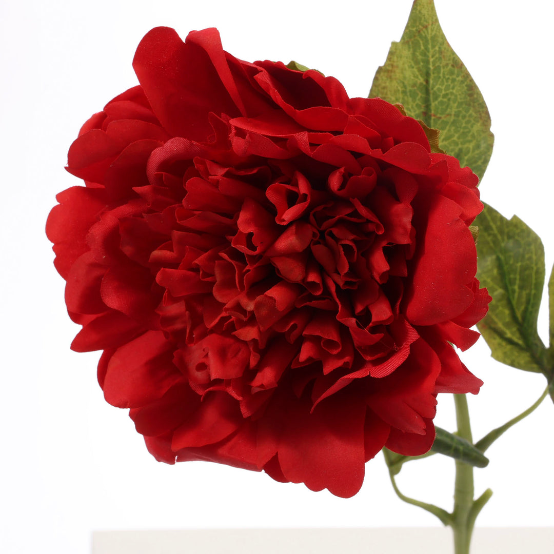 Artificial Peony Rose - Large Stem - Red close up 1
