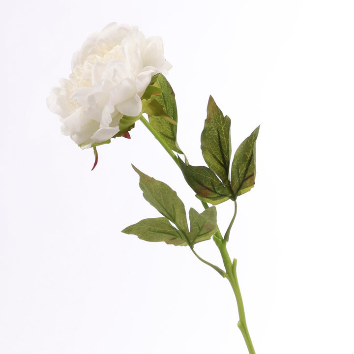 Artificial Peony Rose - Large Stem - White