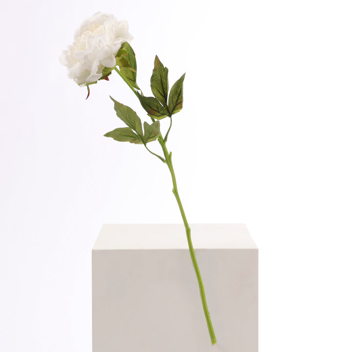 Artificial Peony Rose - Large Stem - White full product